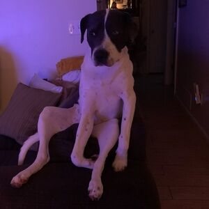 Meet your Posher, Kari